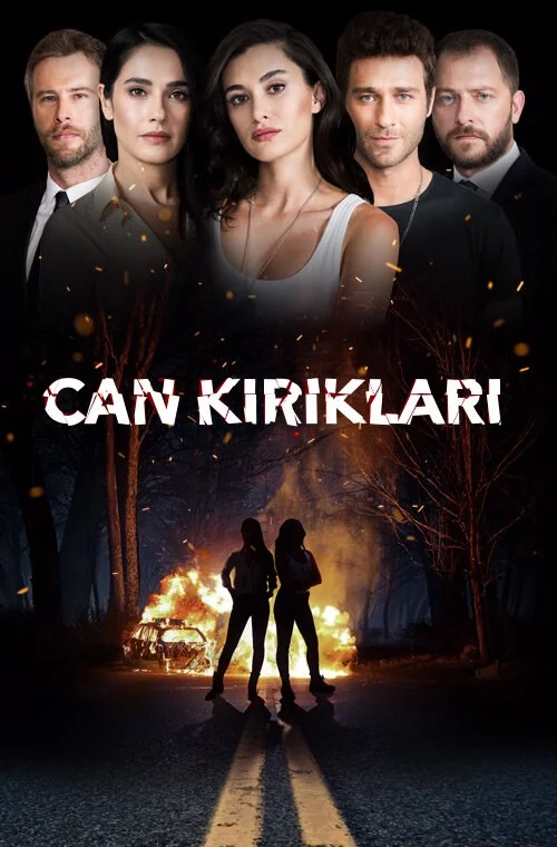 Осколки души - постер сериала
